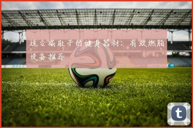 适合减肚子的健身器材：有效燃脂设备推荐