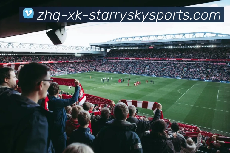 适合减肚子的健身器材：有效燃脂设备推荐